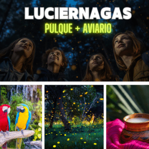 Luciérnagas, Aves y Pulque