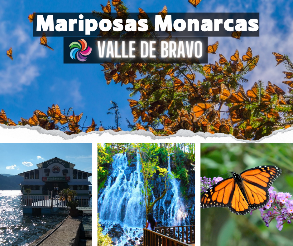 Mariposas Monarcas, Cascadas y Valle de Bravo