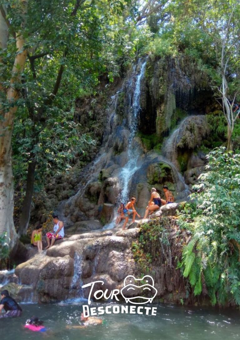 Entre cascadas y momentos inolvidables