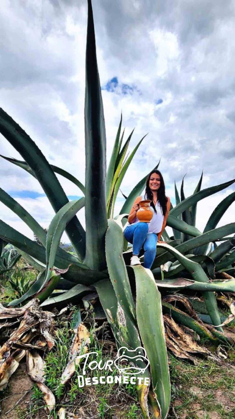 Escapada de fin de semana desde CDMX 🚍✨ | Luciérnagas, Pulque y Aviario El Nido en un solo viaje