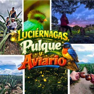 LUCIÉRNAGAS+PULQUE+AVIARIO